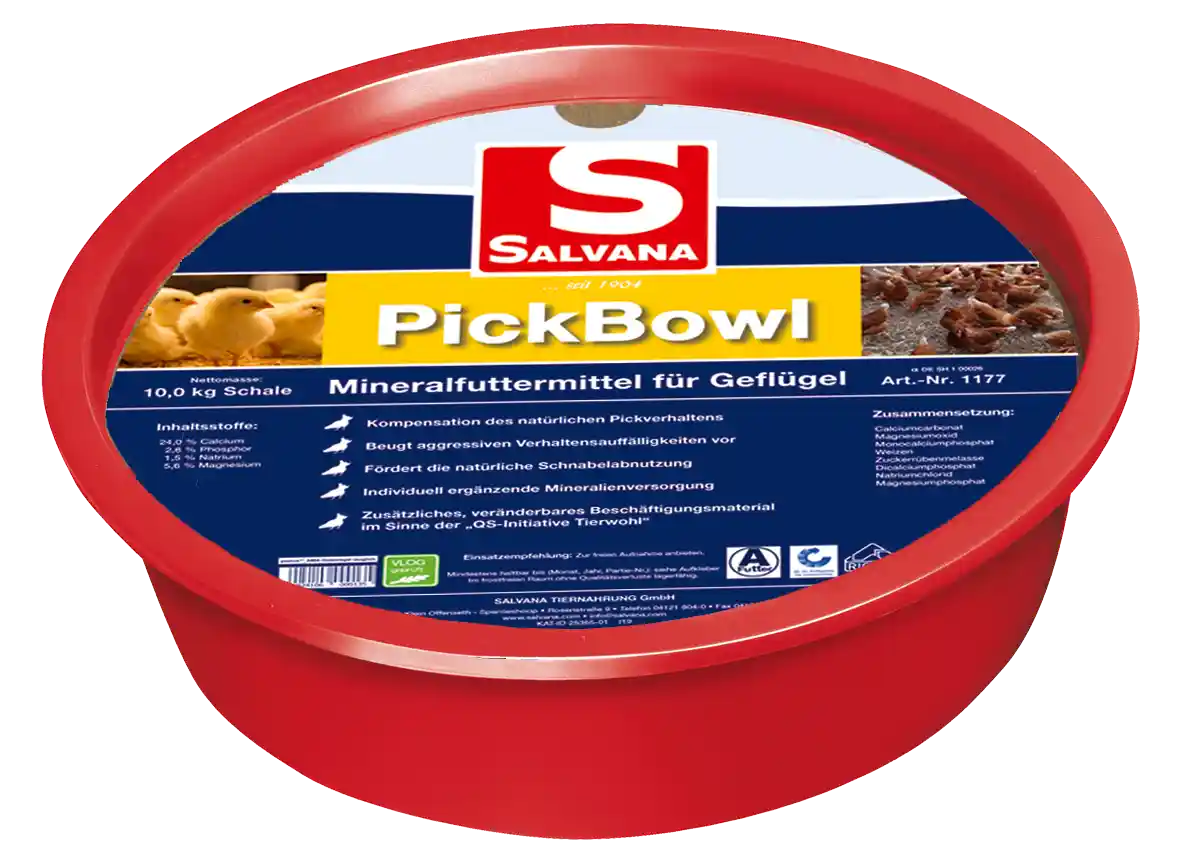 pickbowl-salvana-pickstein-legehennen-schnabelabnutzung-beschäftigung-geflügel