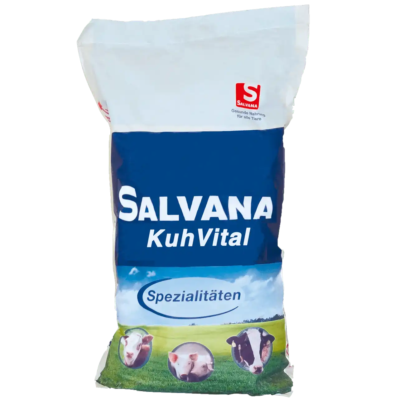 kuhvital-salvana-vitaminergaenzung-milchkuehe-immunfunktion-hitzestress-euter