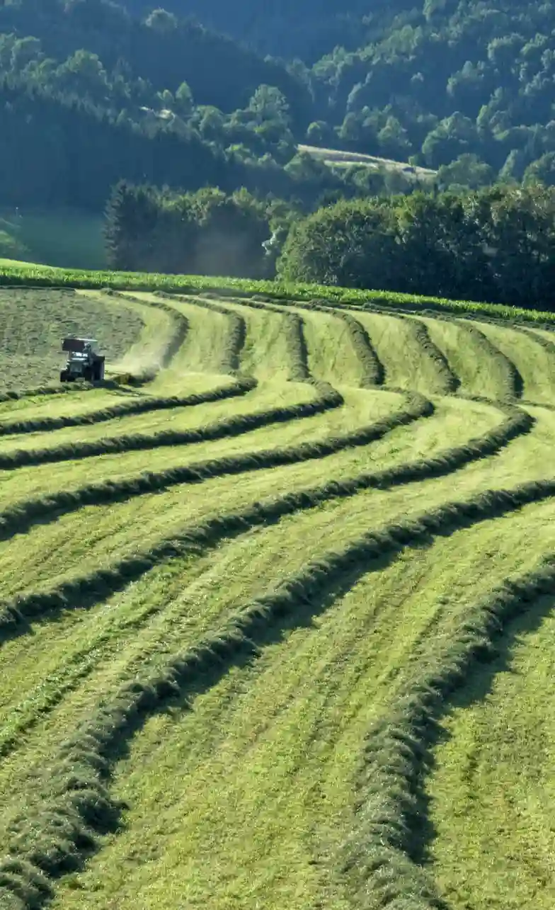 ecosyl100-siliermittel-silage-grassilage-grundfutterqualitaet